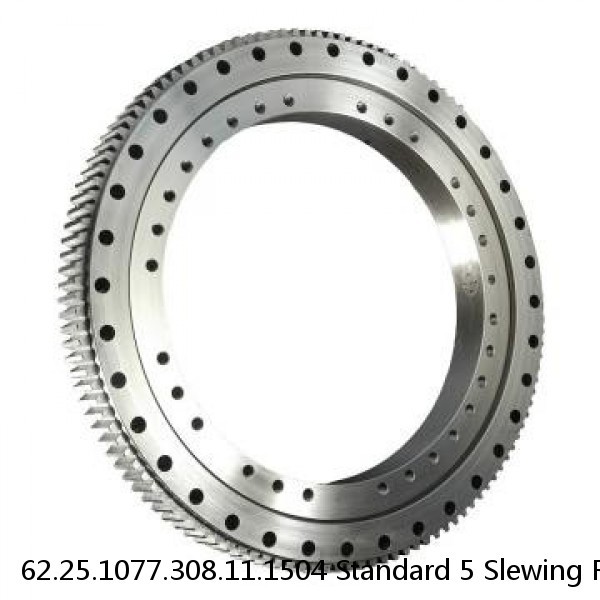 62.25.1077.308.11.1504 Standard 5 Slewing Ring Bearings #1 small image