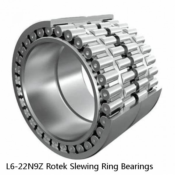 L6-22N9Z Rotek Slewing Ring Bearings #1 small image