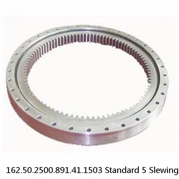 162.50.2500.891.41.1503 Standard 5 Slewing Ring Bearings #1 small image