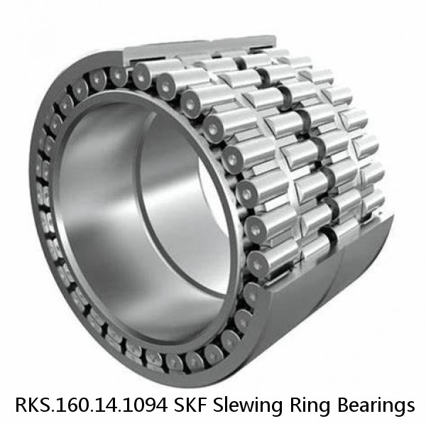 RKS.160.14.1094 SKF Slewing Ring Bearings #1 small image