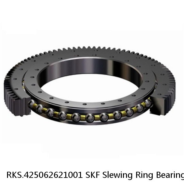 RKS.425062621001 SKF Slewing Ring Bearings #1 small image