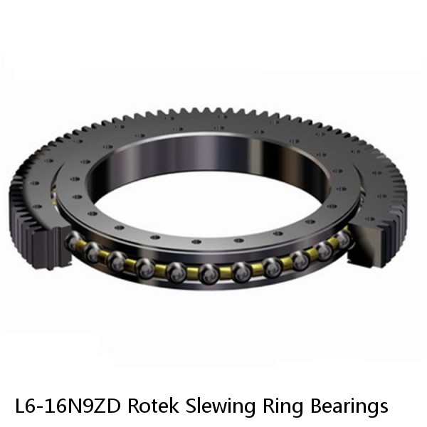 L6-16N9ZD Rotek Slewing Ring Bearings #1 small image