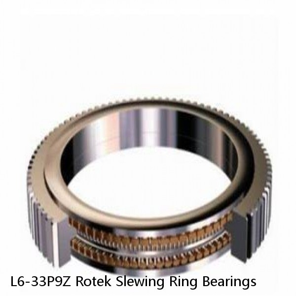 L6-33P9Z Rotek Slewing Ring Bearings