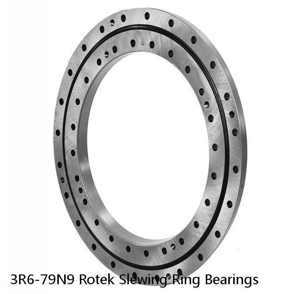 3R6-79N9 Rotek Slewing Ring Bearings #1 small image