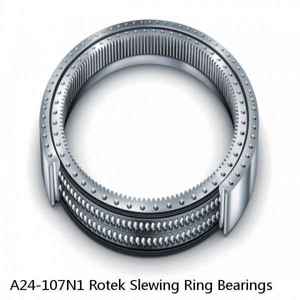 A24-107N1 Rotek Slewing Ring Bearings #1 small image