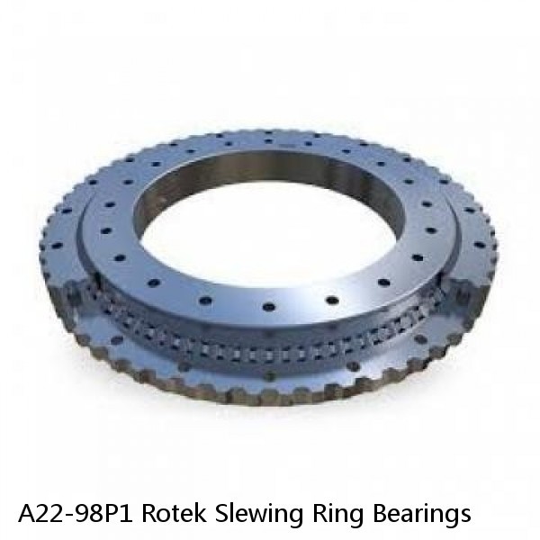 A22-98P1 Rotek Slewing Ring Bearings #1 small image