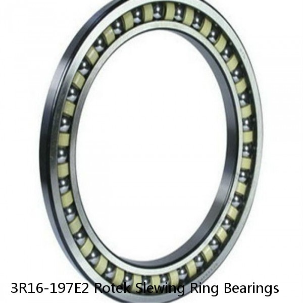 3R16-197E2 Rotek Slewing Ring Bearings #1 small image