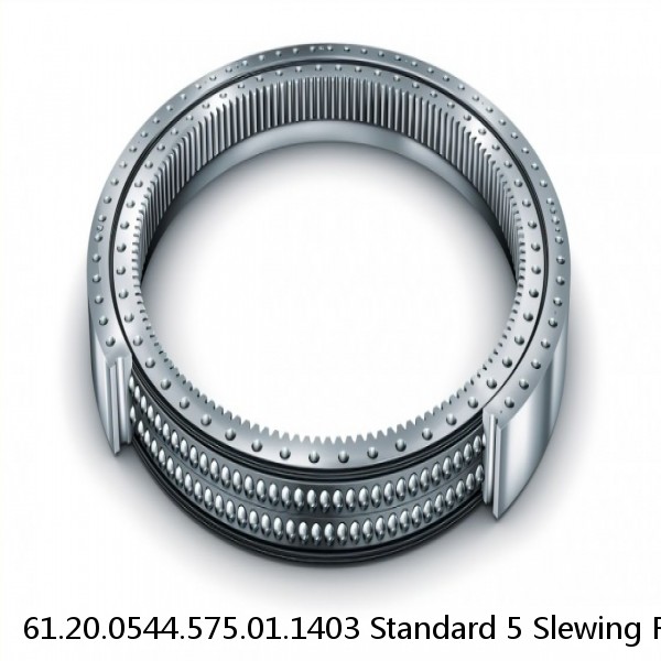 61.20.0544.575.01.1403 Standard 5 Slewing Ring Bearings #1 small image