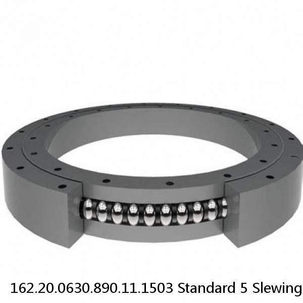 162.20.0630.890.11.1503 Standard 5 Slewing Ring Bearings #1 small image