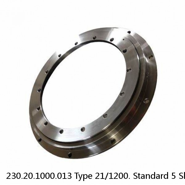 230.20.1000.013 Type 21/1200. Standard 5 Slewing Ring Bearings #1 small image
