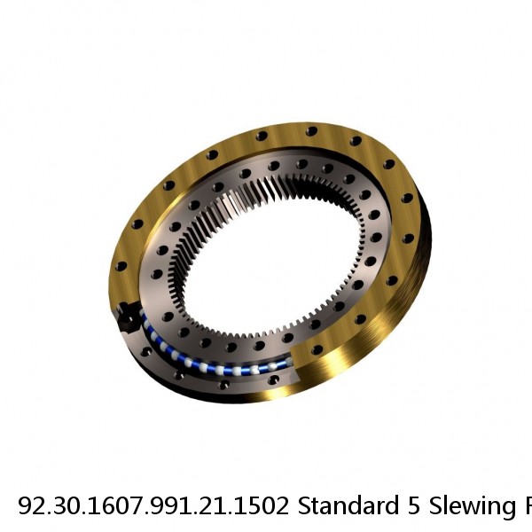 92.30.1607.991.21.1502 Standard 5 Slewing Ring Bearings #1 small image