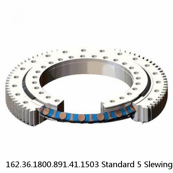 162.36.1800.891.41.1503 Standard 5 Slewing Ring Bearings #1 small image