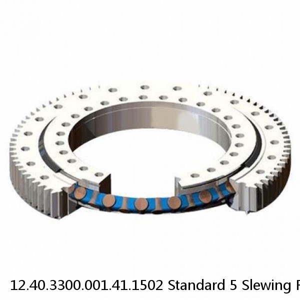 12.40.3300.001.41.1502 Standard 5 Slewing Ring Bearings #1 small image
