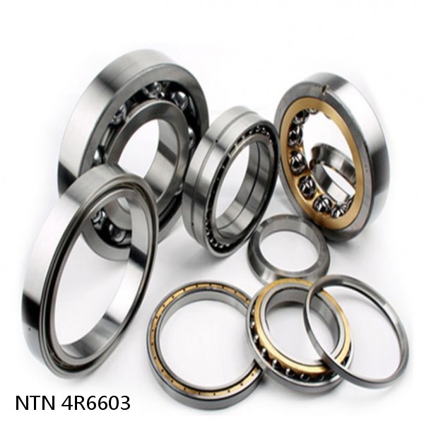 4R6603 NTN Cylindrical Roller Bearing #1 small image