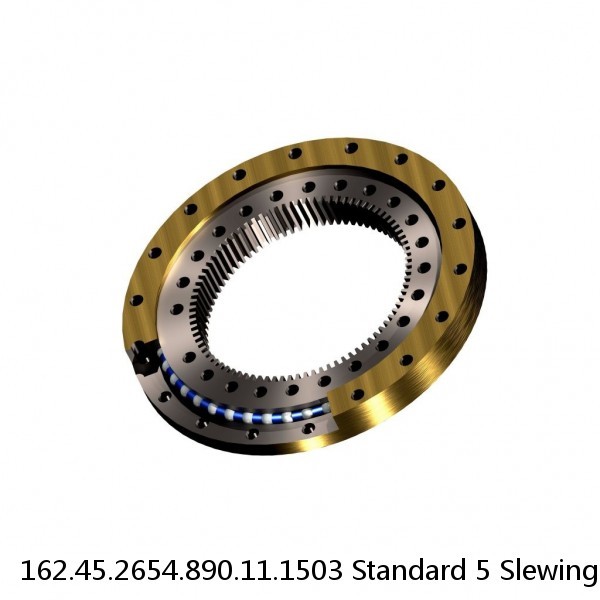 162.45.2654.890.11.1503 Standard 5 Slewing Ring Bearings #1 image