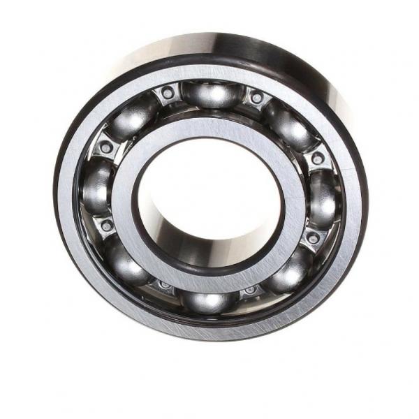 Single Row Rubber Seal Radial Deep Groove Bearing 6002/6003/6004/6005/6006/6007/6008/6009/6010/6011/6012/6013/6014/6015/6016/6017/6018/6019 2RS 2rz #1 image