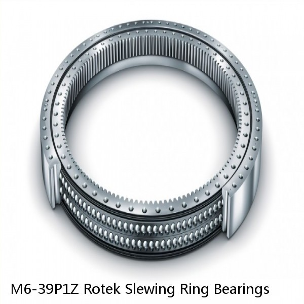 M6-39P1Z Rotek Slewing Ring Bearings #1 image