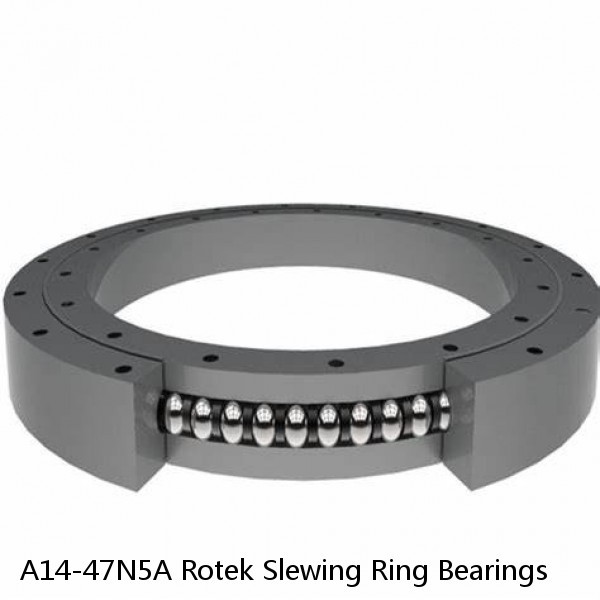 A14-47N5A Rotek Slewing Ring Bearings #1 image