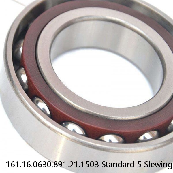 161.16.0630.891.21.1503 Standard 5 Slewing Ring Bearings #1 image