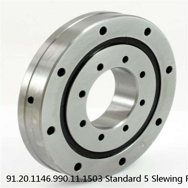 91.20.1146.990.11.1503 Standard 5 Slewing Ring Bearings #1 image