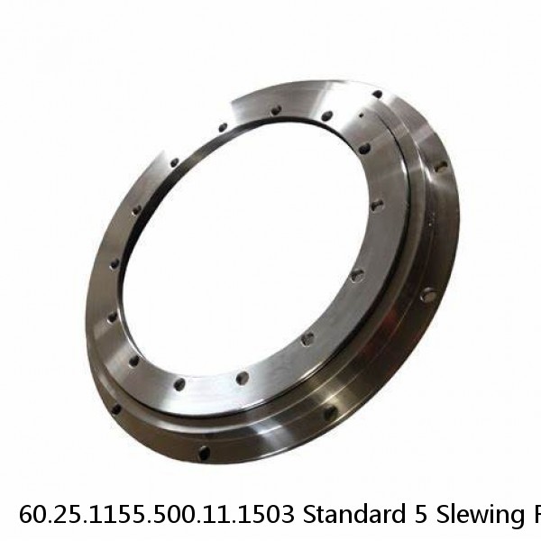 60.25.1155.500.11.1503 Standard 5 Slewing Ring Bearings #1 image