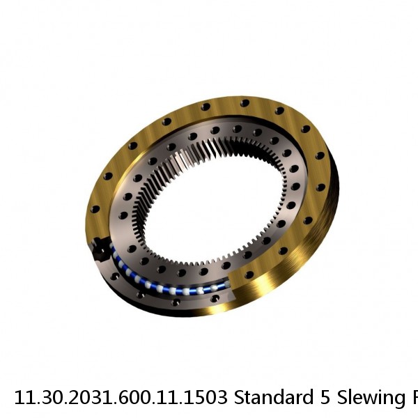 11.30.2031.600.11.1503 Standard 5 Slewing Ring Bearings #1 image