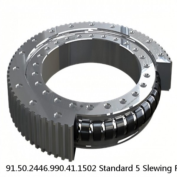 91.50.2446.990.41.1502 Standard 5 Slewing Ring Bearings #1 image