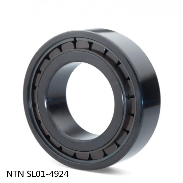 SL01-4924 NTN Cylindrical Roller Bearing #1 image